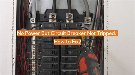 electrical circuit breaker not tripped